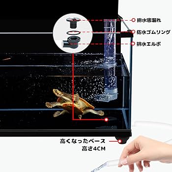 【亀 】ページ　　リクエスト商品のため コメット かめのエサ5g 亀・爬虫類フード イトミミズ 浮上性